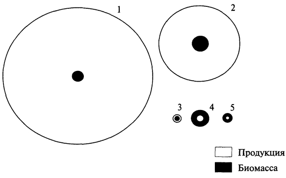 . 3.4.        (1),  (2),  (3),  (4)   (5)   