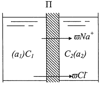 . 2.3.       NaCl  C1 > 2