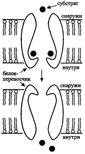 . 7.         - ( . Madigan et al., 1997)