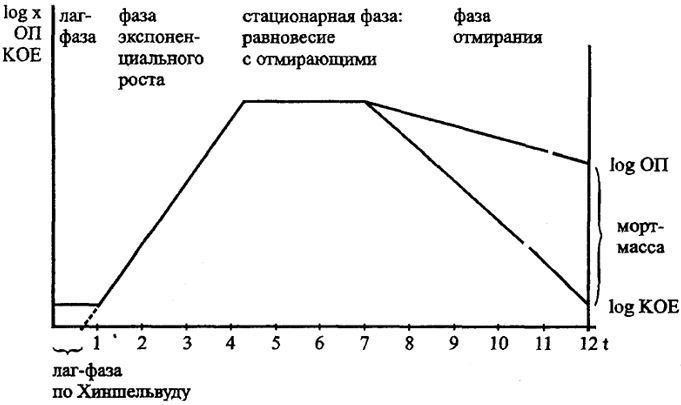 .23.   <br> -   ,  -   ,  -  