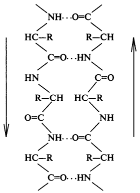 . 4.   β-  (    )