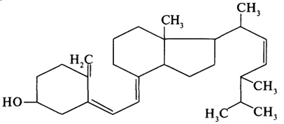  D2 ()