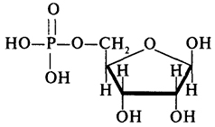 β-D--5-