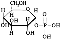 α-D--1-