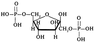 β-D--1,6-