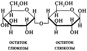 β-