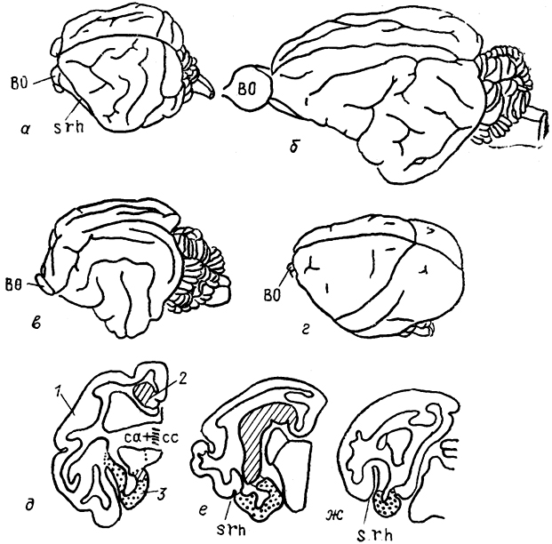 . 91.       (-)      (-) (Welker, Lende, 1980).  - ,  -  ,  - ,  -  ; 1-3 -  :  (1),  (2),  (3).