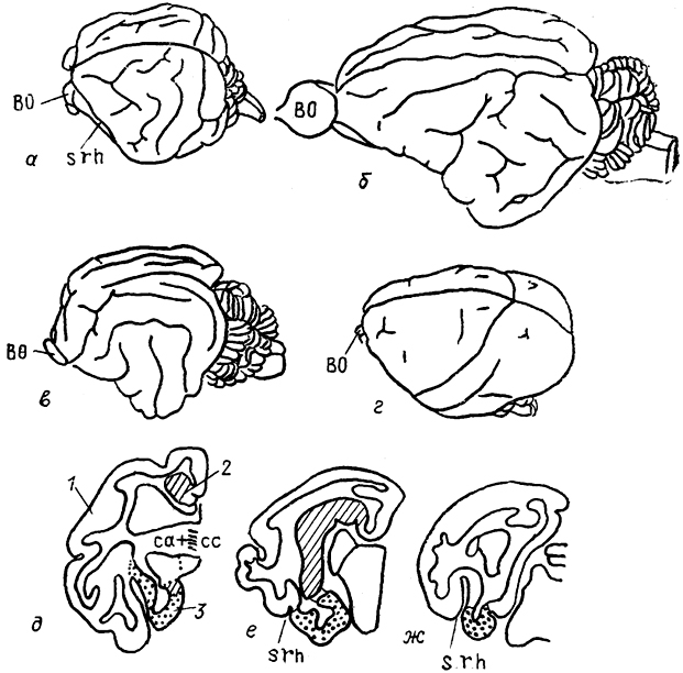  . 91.       (-)      (-) (Welker, Lende, 1980).  - ,  -  ,  - ,  -  ; 1-3 -  :  (1),  (2),  (3).