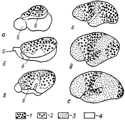  . 92.              (, , 1981).  - ,  - ,  - ,  - ,  - ,  - ; 1-3 -  :  (1),  (2)   (3), 4 -  ,  .  , 5 -  , 6 -  .