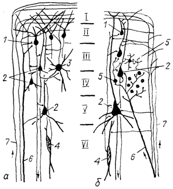  . 93.        (Glezer e. ., 1988).  -   ,  -  . 1 -  II      , 2 -  III-V , 3 -  , 4 -  , 5 -     , 6 -  7 -  - .