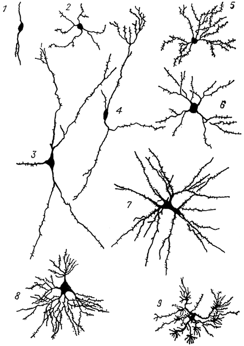  . 12.          (, 1978). 1-3 -  :  (1),  (2),  (3); 4-9 -  :  (4), : - (5)   (6),   (7),  (8)   (9).