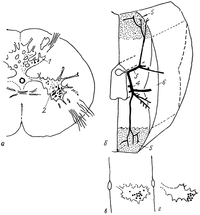 . 20.    () ,      ()   ,  "" ()  "" ()    (Mos, Willamson, 1986). 1, 2 -  (1)   (2)   ; 3, 4 -  (3)   (4)     ; 5, 6 -  "" (5)  "" (6)  .