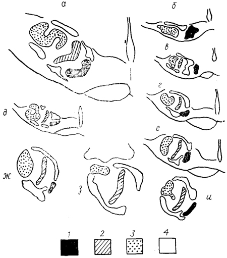  . 41.    (Moore, 1987).  - ,  - ,  - ,  - ,  - ,  -  ,  - ,  - ,  - . 1 -  ; 2, 3 -  (2)   (3)  ; 4 -  .