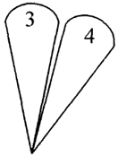 . 3
