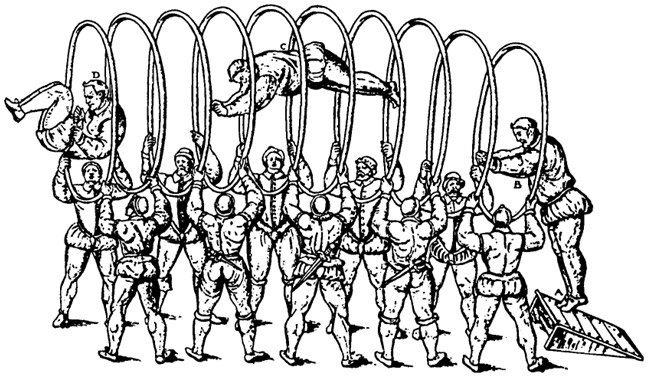      XVI .