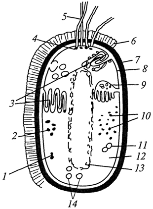 . 2.    : 1 -  ; 2 -  ; 3 -   ; 4 -  ; 5 - ; 6 - ; 7 -  ; 8 -  ; 9 - ; 10 - ; 11 -  ; 12 - ; 13 - ; 14 -  # 