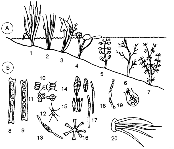 . 5.7. ,    (): 1 -; 2 - ; 3 - ; 4 - ; 5, 6 - ; 7 - .    (): 8, 9 -  ; 10-13 - ; 14-17 - ; 18-20 - -