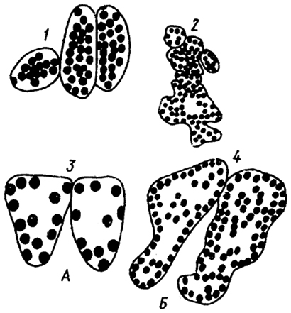 . 5.22.      ()   () : 1 - ; 2- ; 3 - ; 4 -   ( .. , .. , 1978)