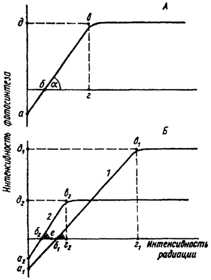 . 5.23.   :  -  ;  -    (1)   (2) 