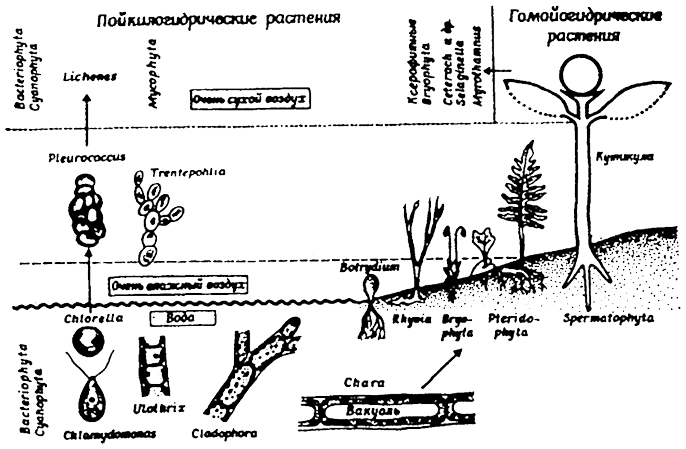 . 5.25.         ( . , 1978)