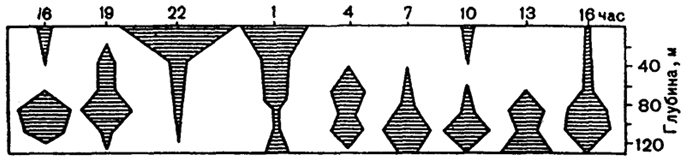 . 7.5.       Calanus finmarchicus ( . , 1975)