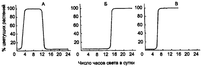 . 7.10.     :  -  ();  -  ();  -  () ( .. , 1961)