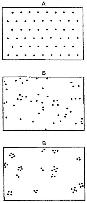 . 9.2.      :  -  ;  -  ;  -   ( . , 1986)