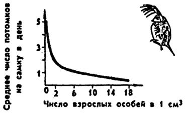 . 10.15.        ( . , 1975)