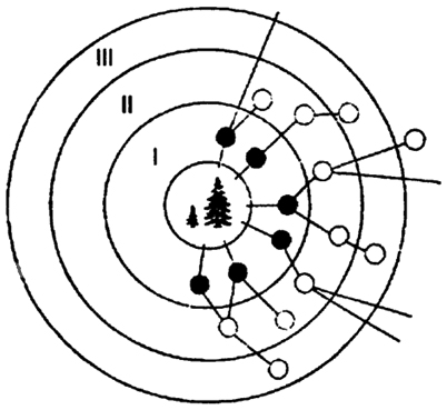 . 11.3.   : -   ( ); I, II, III   - ,  : I  , , ; II, III   ( .. , 1966)