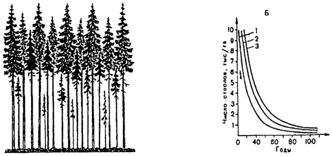 . 11.6.    :  -      ;          (1),  (2)   (3) ( .. , 1928)