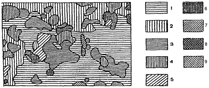 . 11.7.   - : : 1 - --; 2 - -; 3 -    ; 4 - -; 5 -    ; 6 - -; 7 -   ; 8 - -; 9 -    ( .. , 1971)