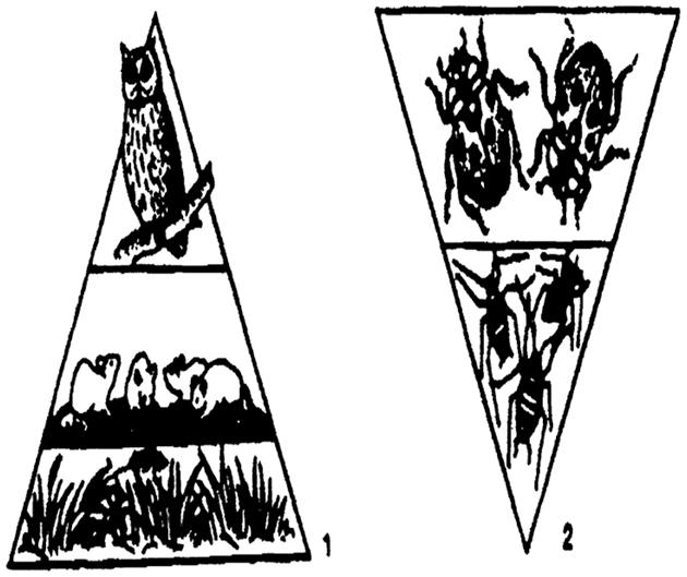 . 12.34.   ()        ( %)   (): 1 -   ; 2-    ; 3 -  