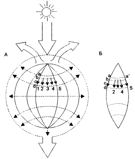 . 12.35.           (no H.. , 1994): 1, 2, 3... -    ; -... -   ,  -    ;  -  3 ,          2  4