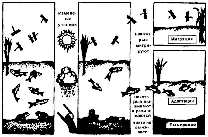 . 12.39.   ( . , 1993)