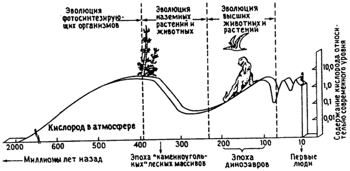 . 12.47.     ( . , 1971)