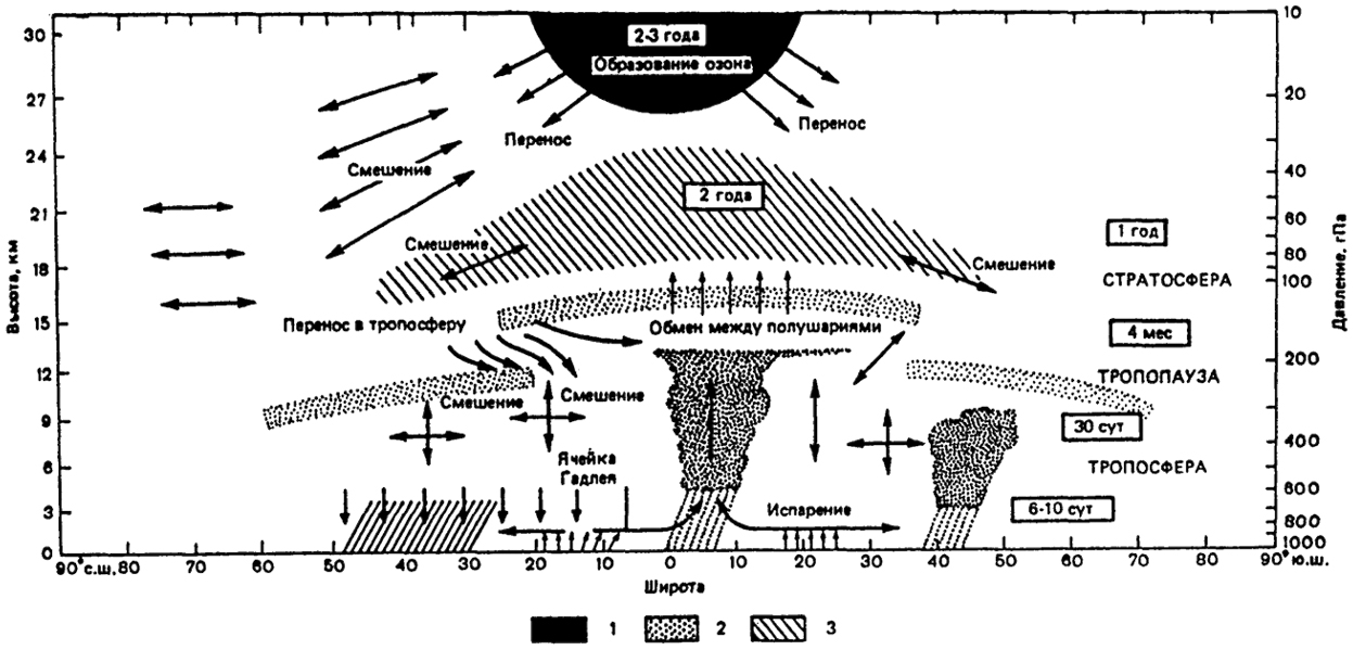 . 14.1.     (1),  (2)   (3)    (Newell, 1971)