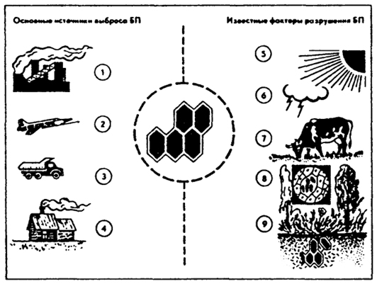 . 14.6.      () ( .. , 1990): 1 -  ; 2 - ; 3 -    ; 4 -  ; 5 -  ; 6 - ; 7 -    ; 8 -  ; 9 -   