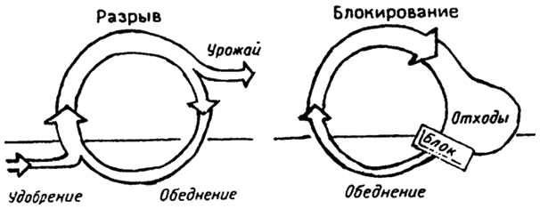 . 18.6.      ( . , 1981)
