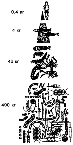 . 18.10.   ( . , 1971) :           9/10  . ,  400      40      4   - ,  ,      0,4 .