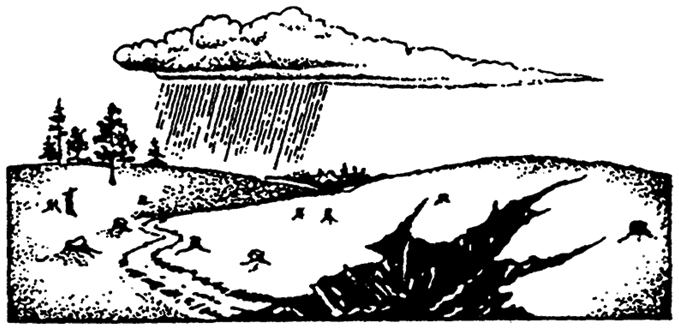 . 18.25.      ( ..   ., 1995)